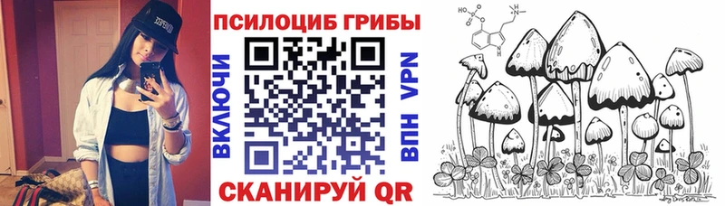 Галлюциногенные грибы прущие грибы  Купить  Кодинск 